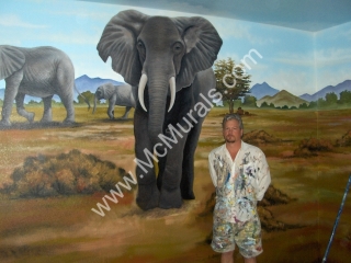 Sahara Scene - Private Residence  - 