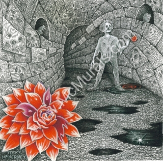 Vices I Admire Album Cover - Back - 