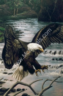 A Home in Loveland  - 