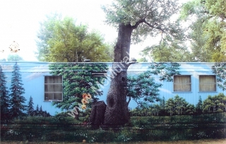 Trailer Project - Entire Mural - 